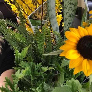 Meet your Posher, Lin